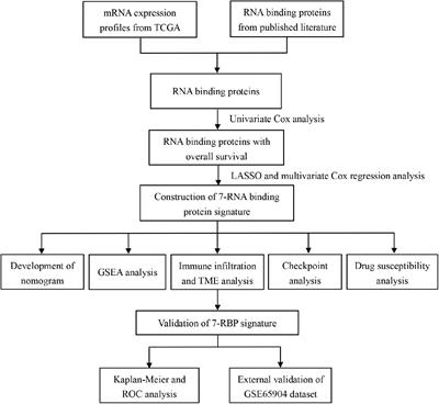 Prognostic Value and Immunological Characteristics of a Novel RNA Binding Protein Signature in Cutaneous Melanoma